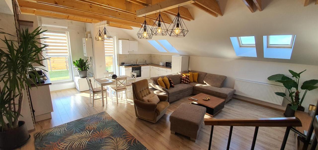 Târgu-Mureş Hoobee Home & Rooftop Terrace المظهر الخارجي الصورة