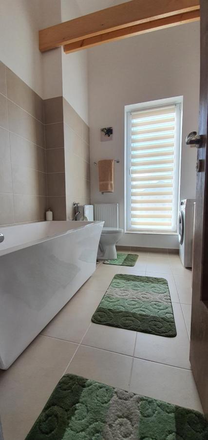 Târgu-Mureş Hoobee Home & Rooftop Terrace المظهر الخارجي الصورة