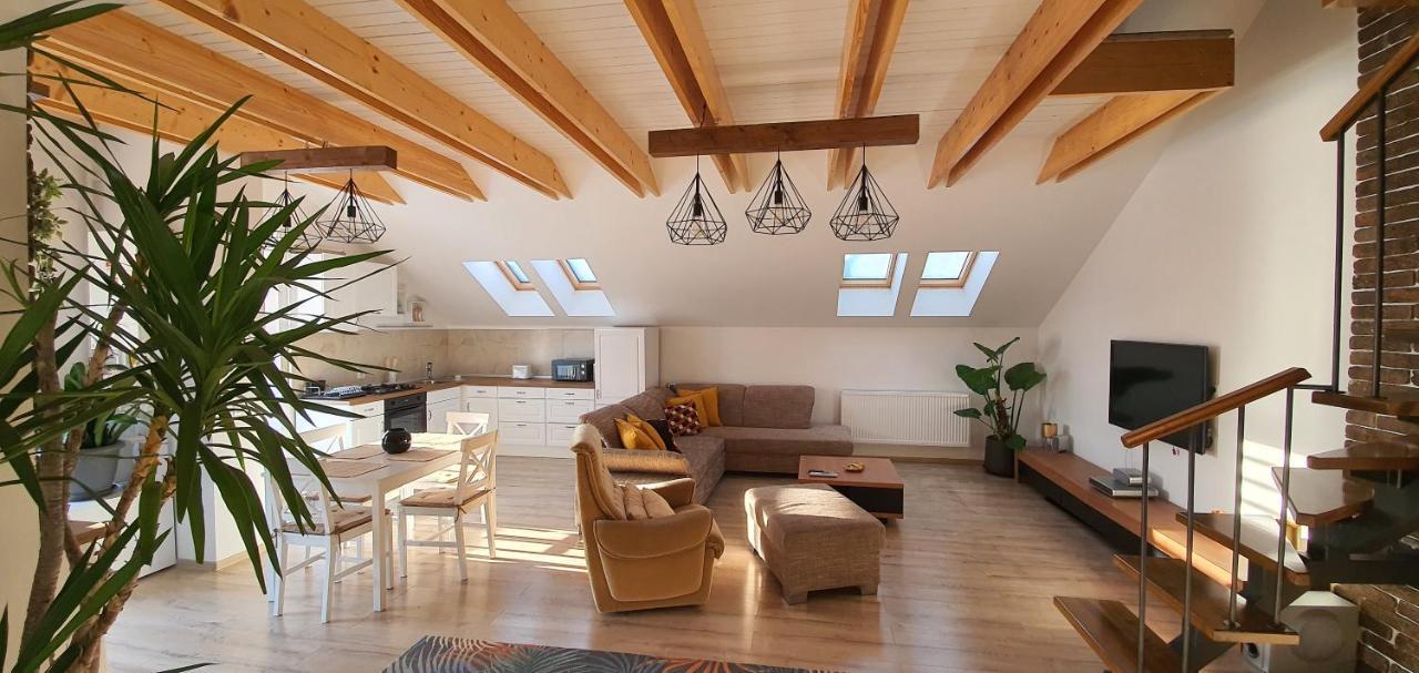 Târgu-Mureş Hoobee Home & Rooftop Terrace المظهر الخارجي الصورة