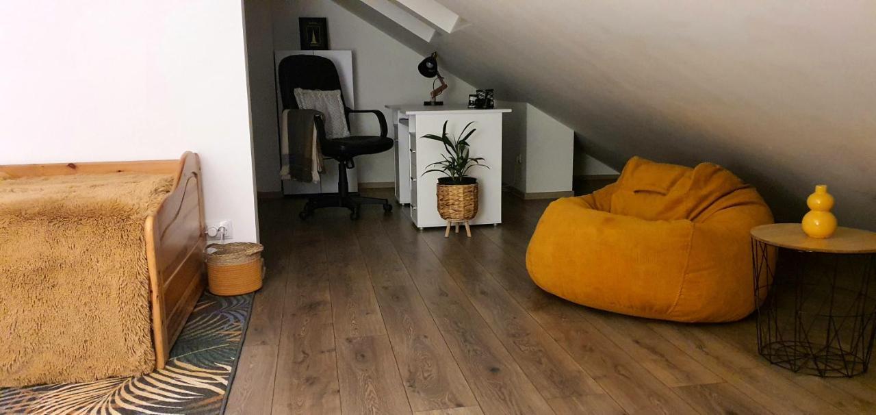 Târgu-Mureş Hoobee Home & Rooftop Terrace المظهر الخارجي الصورة
