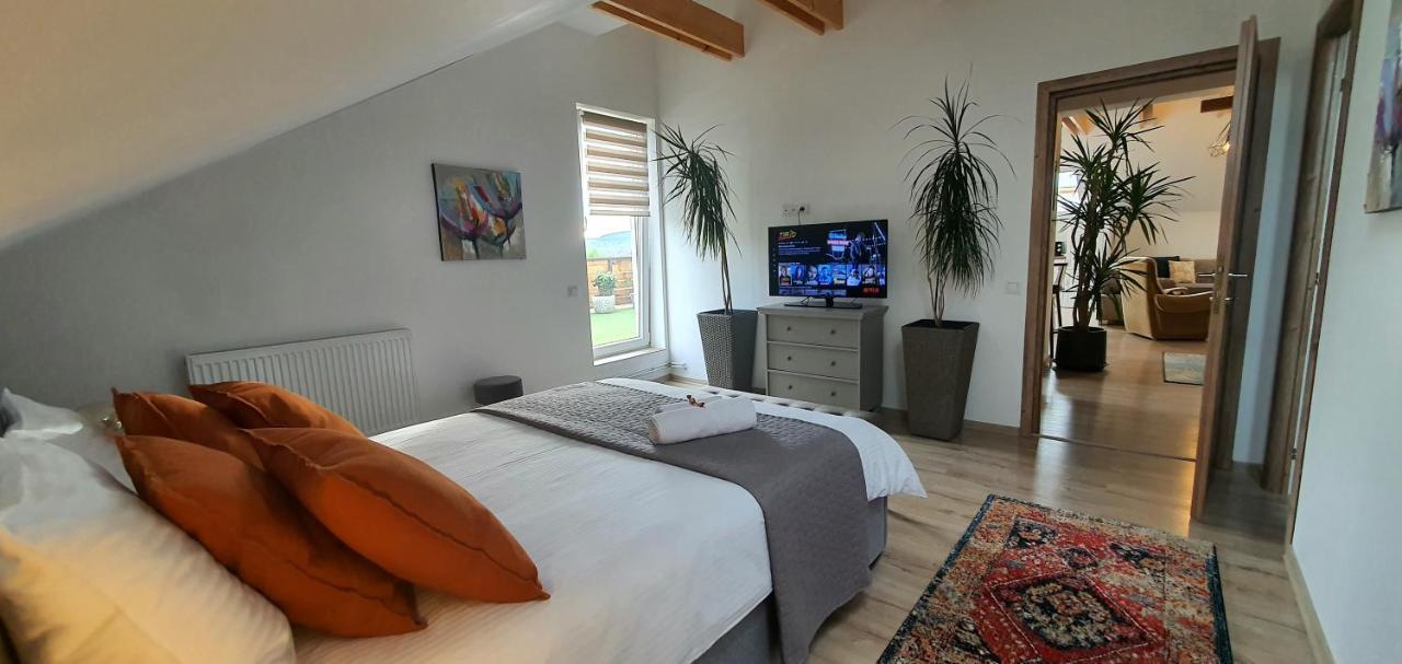 Târgu-Mureş Hoobee Home & Rooftop Terrace المظهر الخارجي الصورة